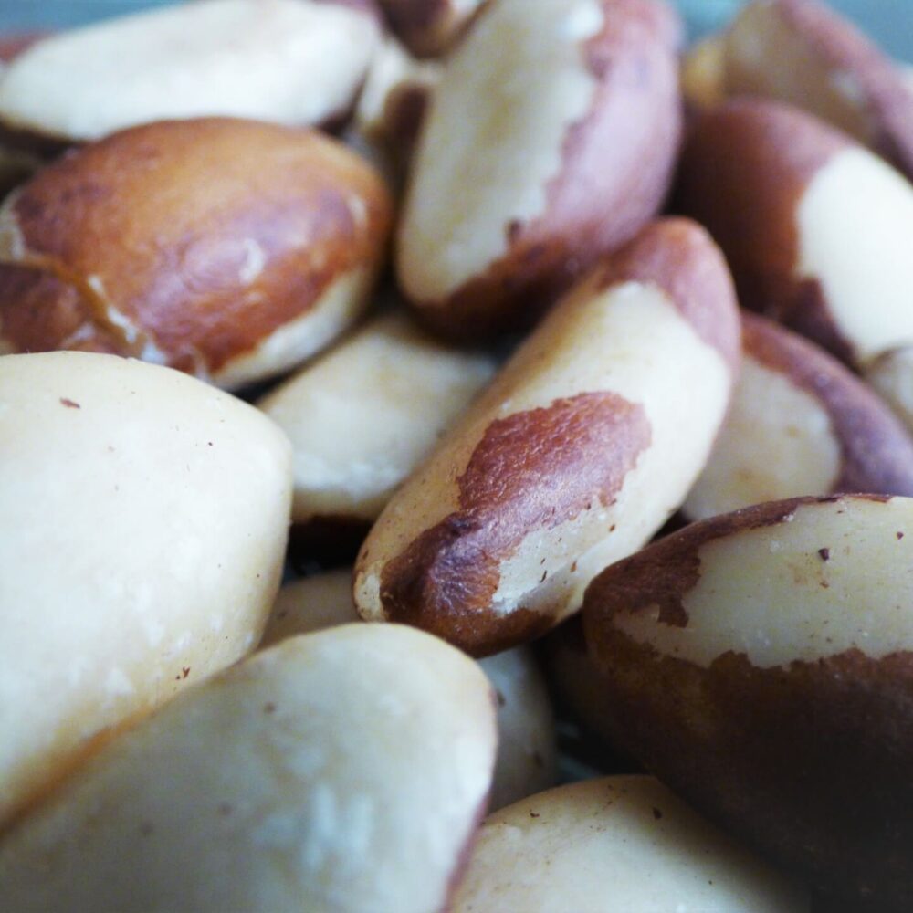 Castaña - FRUTOS AMAZONICOS